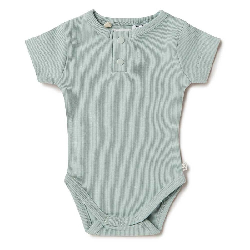 Snuggle Hunny - Organic Short Sleeve Bodysuit | Sage
