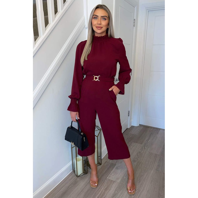 Wine High Neck Long Sleeve Belted Jumpsuit