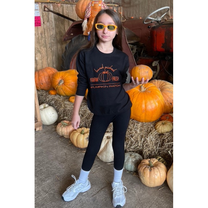 Mini Pumpkin patch black embroidered sweater