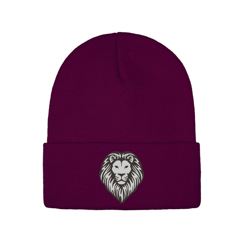 SOUTH EMBROIDERED TOQUE