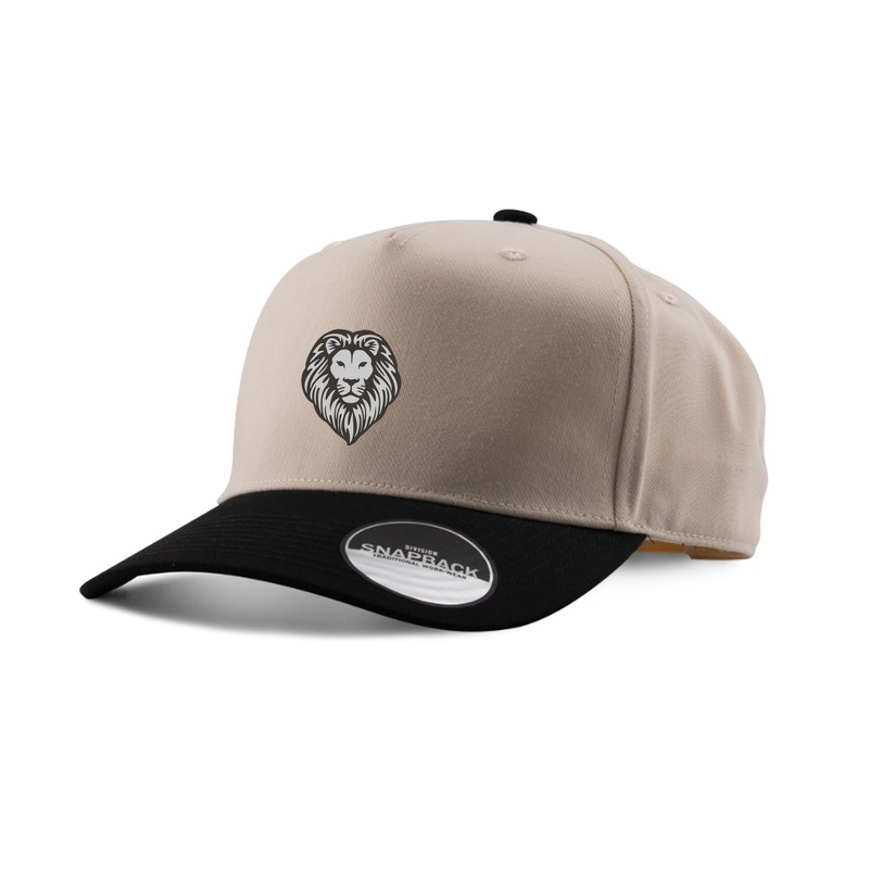 SOUTH EMBROIDERED TWO-TONE PANEL CAP