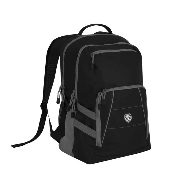SOUTH EMBROIDERED VARSITY BACKPACK