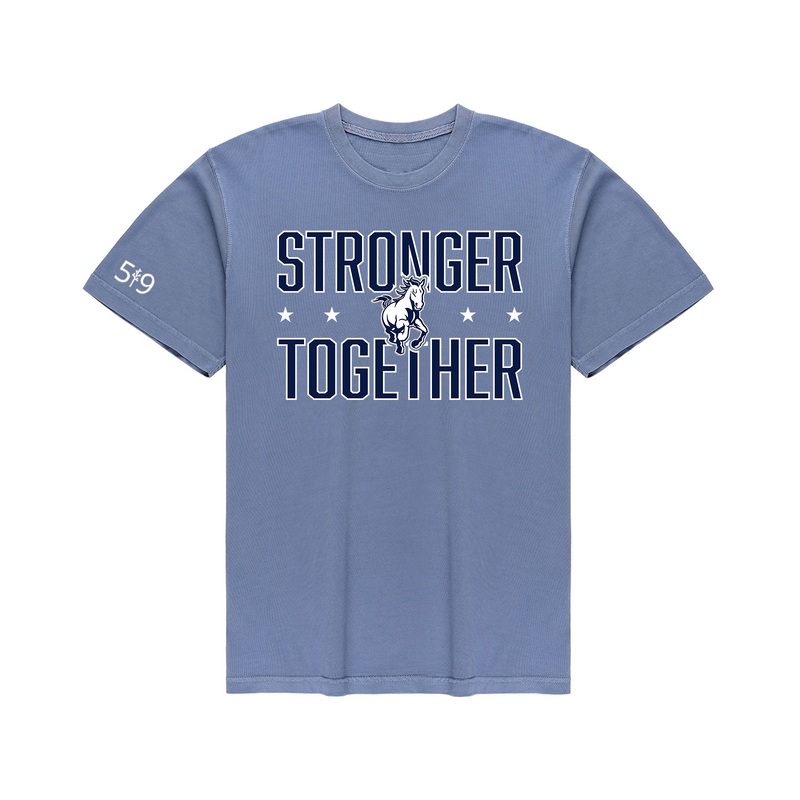PARKSIDE STRONGER TOGETHER VINTAGE TEE (UNISEX)