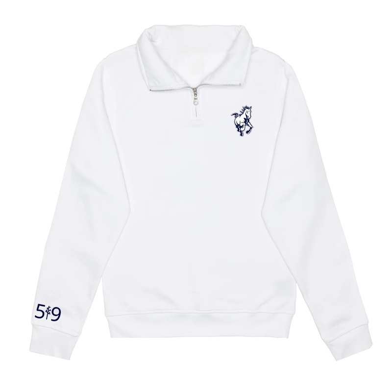 PARKSIDE EMBROIDERED 1/4 ZIP (UNISEX)