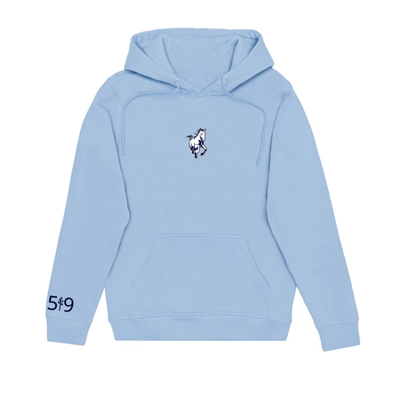 PARKSIDE EMBROIDERED HOODIE (UNISEX)