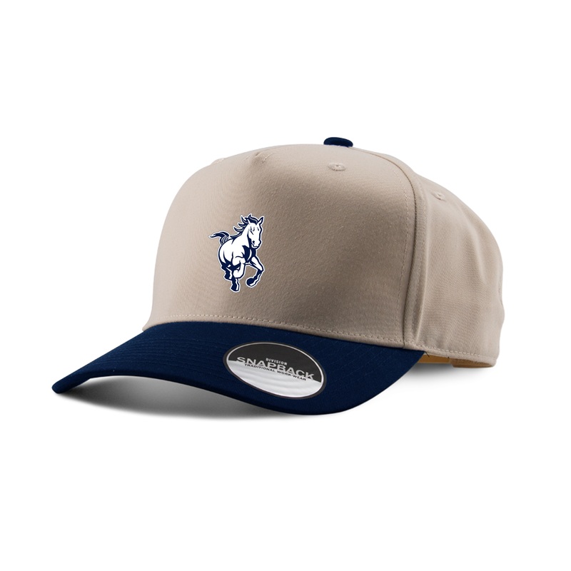 PARKSIDE EMBROIDERED TWO-TONE PANEL CAP