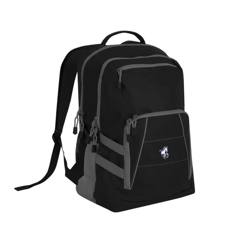 PARKSIDE EMBROIDERED VARSITY BACKPACK