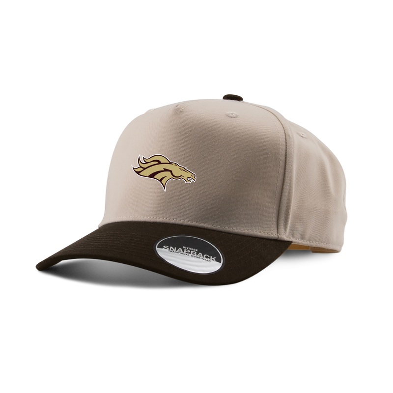 BANTING EMBROIDERED TWO-TONE PANEL CAP