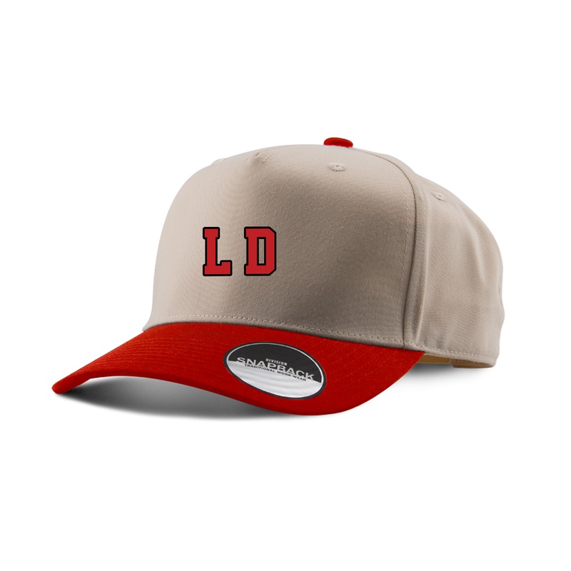 LORD DORCHESTER EMBROIDERED TWO-TONE PANEL CAP