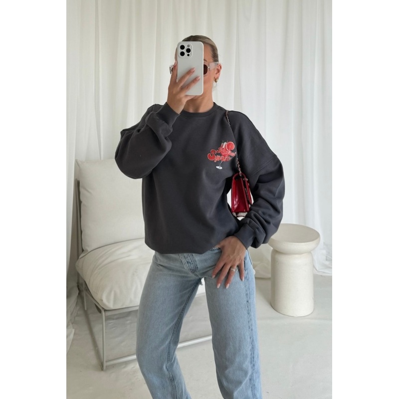 Aperol Spritz steel grey printed sweater