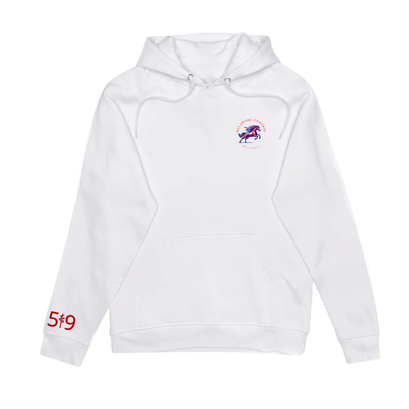 DELAWARE CENTRAL CLASSIC HOODIE (UNISEX)