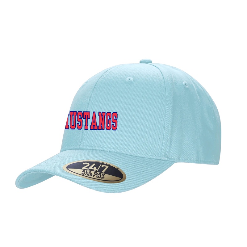 DELAWARE CENTRAL EMBROIDERED SNAPBACK CAP