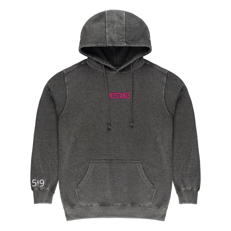 DELAWARE CENTRAL EMBROIDERED VINTAGE HOODIE (UNISEX)