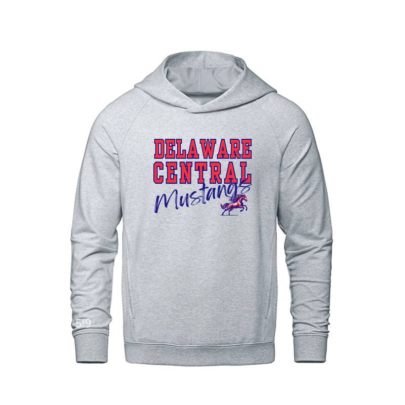 DELAWARE CENTRAL SIGNATURE FRENCH TERRY HOODIE (UNISEX)
