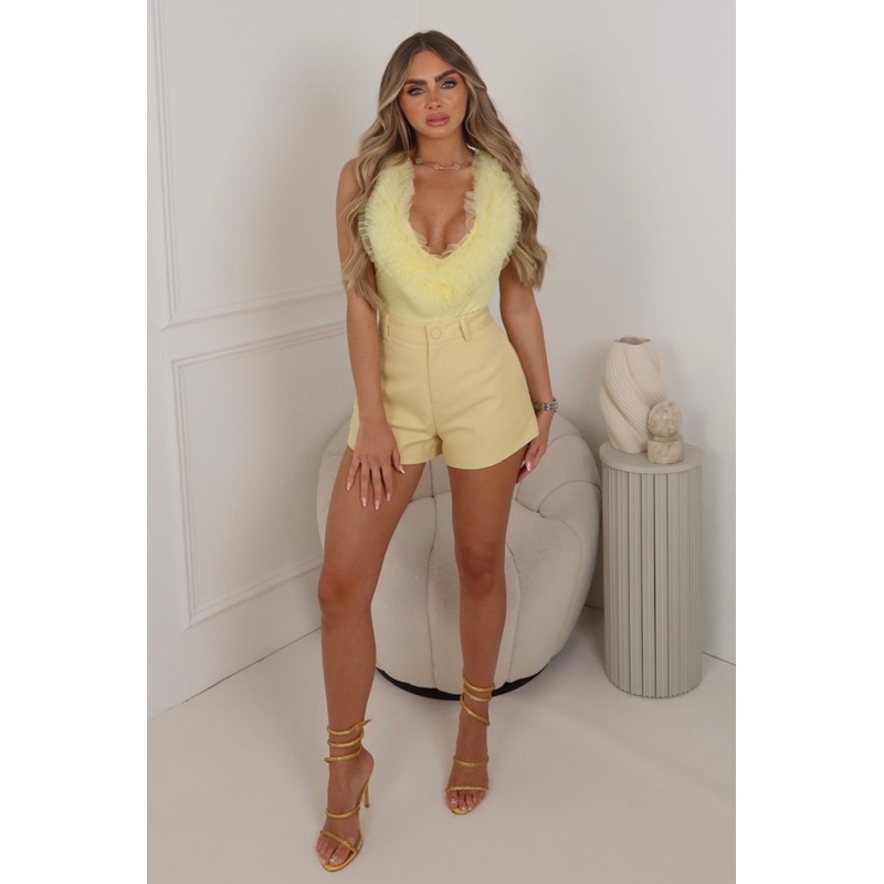 Cindy lemon v-neck stretch tulle bodysuit