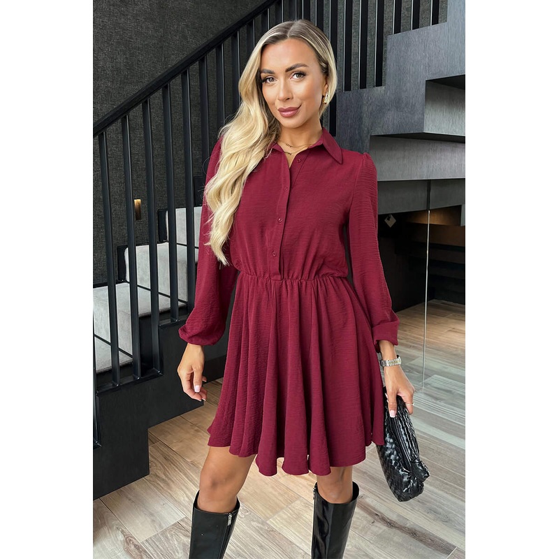 Wine Long Sleeve Mini Skater Dress